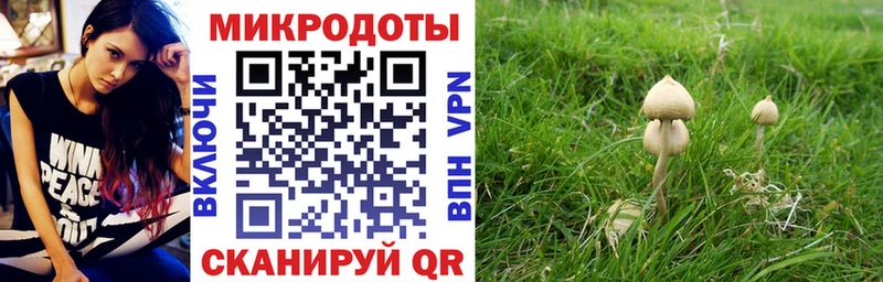 купить  сайты  Ступино  Галлюциногенные грибы MAGIC MUSHROOMS 